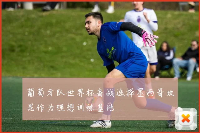 葡萄牙队世界杯备战选择墨西哥坎昆作为理想训练基地