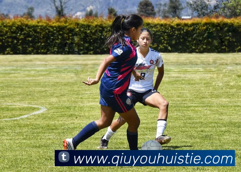 千亿球友会发展历程